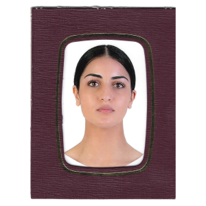 SPH11249 (100 cadres) Strut Mounts 6x9 cm