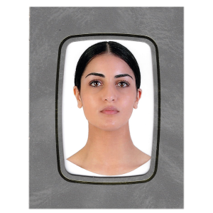 SPH24160 (100 Pack) Strut Mounts 6x9 cm