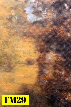 487784679_4816372141922262_1186888905787207051_n Fond Studio Musline 3×6  (FM29)